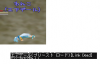 LD.png